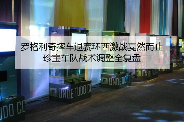 luo-ge-li-qi-shuai-che-tui-sai-huan-xi-ji-zhan-jia-ran-er-zhi-zhen-bao-che-dui-zhan-shu-tiao-zheng-quan-fu-pan-2-212.jpg